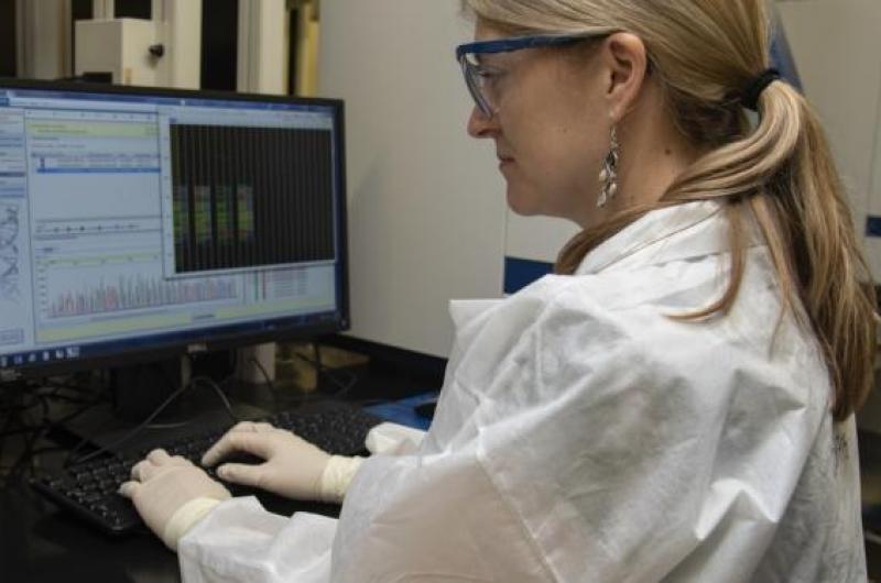 A researcher using a computer to record data.